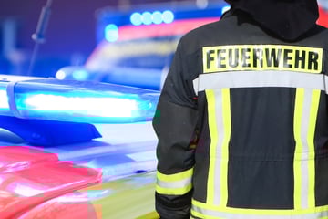 Mann will Zaun übersteigen und wird von Metallstab durchbohrt