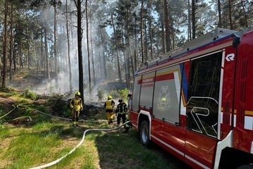 Waldbrand im Harz: Polizei findet Spuren auf Brandstiftung