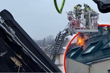 Dresden: Drama in Blasewitz: Feuer breitet sich von Balkon bis ins Dach aus