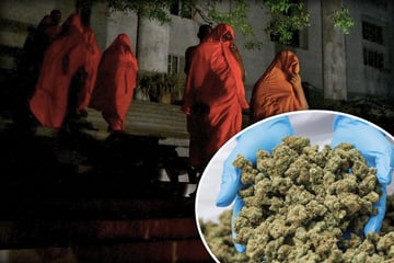 Urlaub endet im Knast: Mönche mit 110 Kilogramm Cannabis geschnappt
