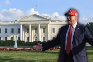 Donald Trump will "epische" Käfigkämpfe am Weißen Haus ausrichten