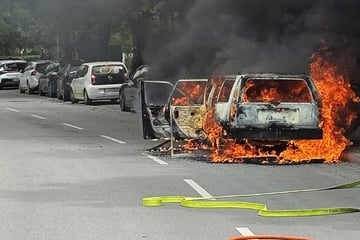 München: Fahrer fährt rechts ran, kurz darauf brennt sein Oldtimer lichterloh
