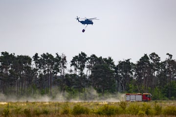 Gohrischheide brennt noch immer: Feuerwehr ändert Löschtaktik