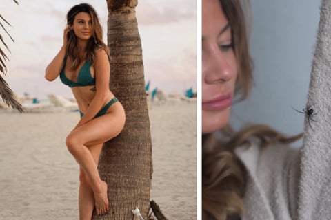 Bikini-Model legt sich Schwarze Witwe als Haustier zu