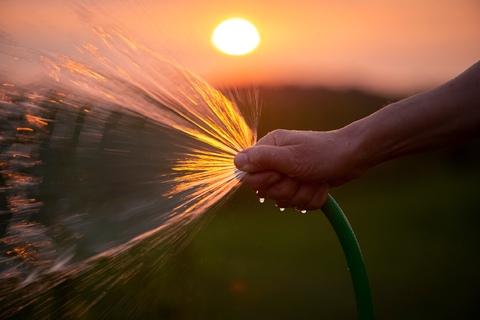 Wann gießen im Garten oder abends?