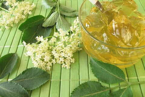 Holunderblütengelee Rezept: Holunderblütengelee selber machen