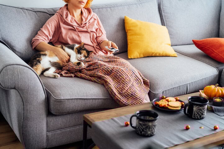 Können Katzen fernsehen? Was sehen sie?