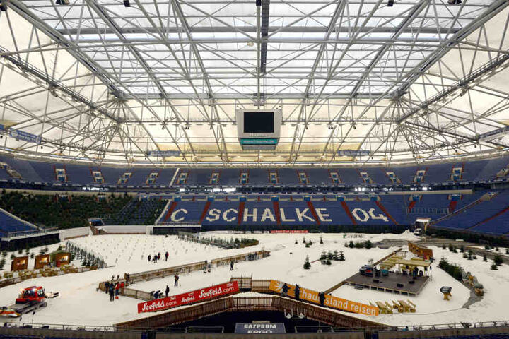 Schalke Neuigkeiten Schalke Neuigkeiten