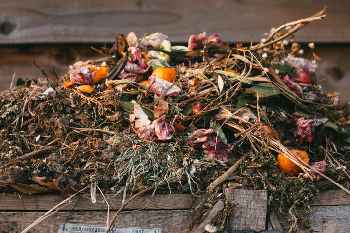 Ihr wollt Euren Rasenschnitt entsorgen? Das gibt's zu beachten! | TAG24