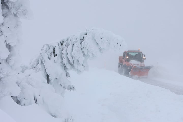 Schnee Und Sturm! Wochenend-Wetter In Sachsen-Anhalt Wird Eiskalt