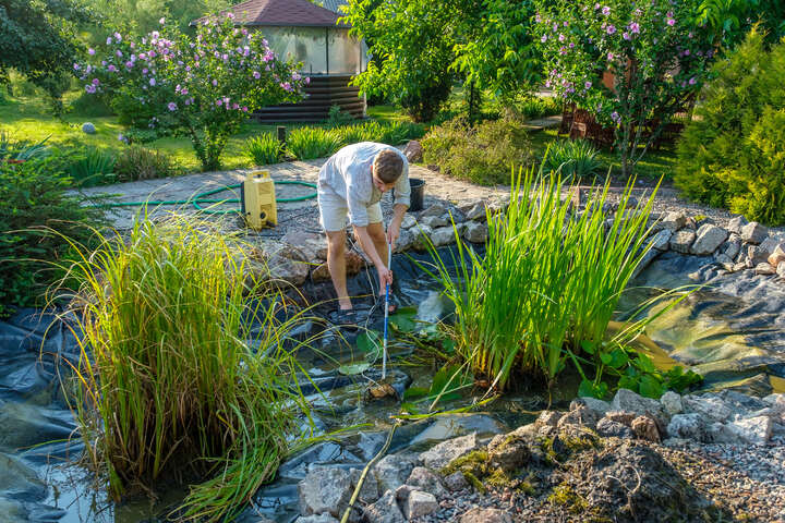 Algen im Teich 7 Tipps, wie man sie los wird