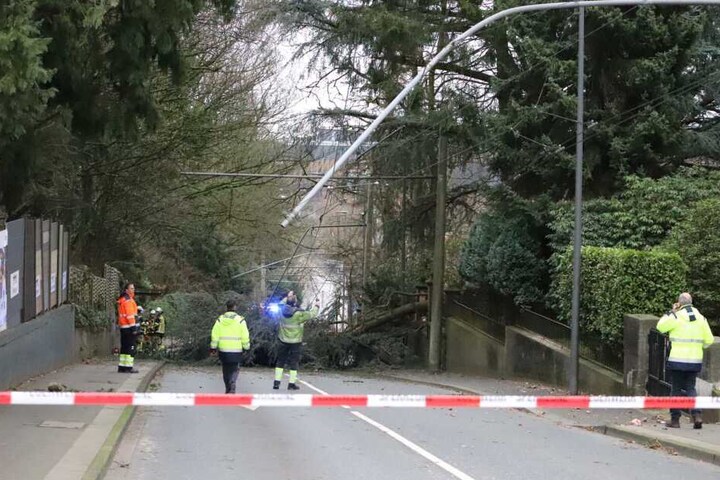 Alle Infos Sturm Sabine bläst in NRW, Orkanböen bis Tempo