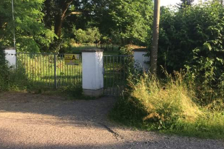 Drama in Leipziger Gartenanlage Waschbär sollte qualvoll sterben!