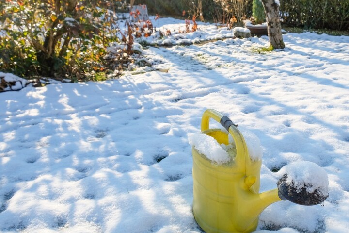 Pflanzen im Winter gieen: eine gute oder schlechte Idee?
