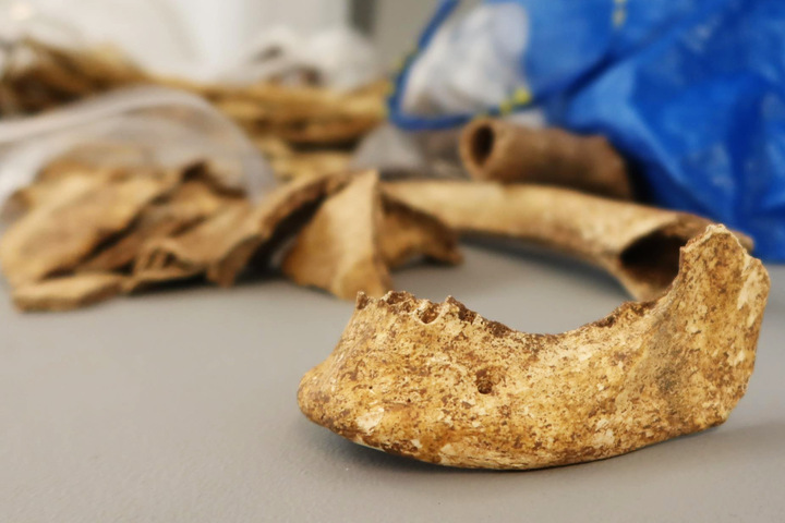 Menschenknochen in Ikea-Tüte: Kuriose archäologische Entdeckung
