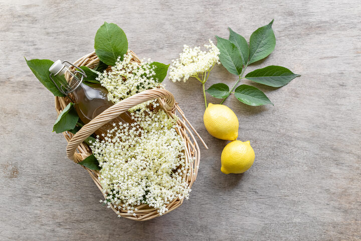 Holunderblütengelee Rezept: Sommerlich Und Fruchtig