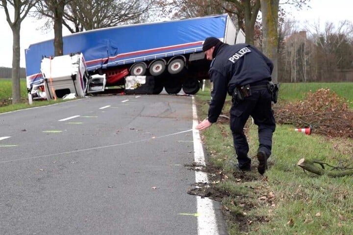 Baum Gestreift Fahrerflucht