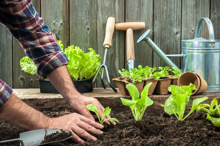 Gartenarbeit im April 9 Aufgaben für Deinen Garten