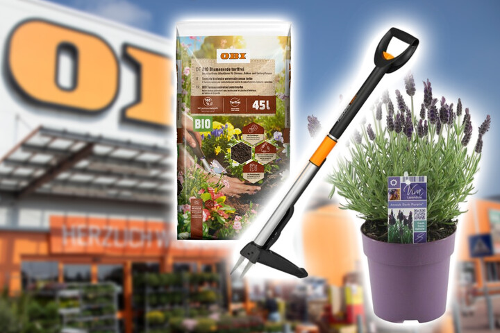 aloe vera als sonnenschutz Mineralischer Sonnenschutz im Set für atopische Haut – das boep main image 1