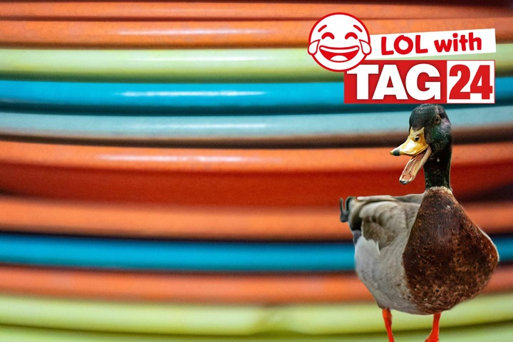 Joke Of The Day For September 24 2024 The Best Jokes To Get Your Funny On