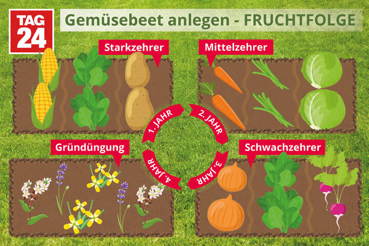 Gemüsebeet anlegen einfach selber Gemüse ziehen