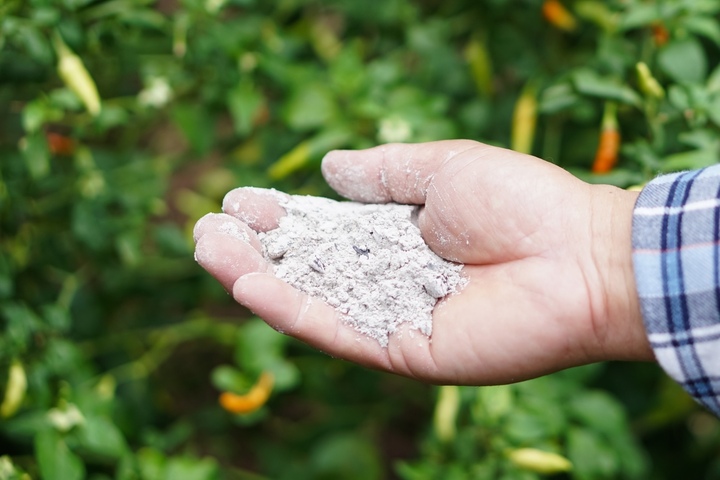 chinagras düngen Purgrün Chinaschilf-Dünger 1 Liter