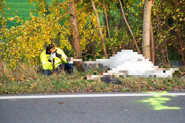 Nach Horror-Unfall Mit Toter Frau Und Totem Pferd: Es Gibt Neue ...