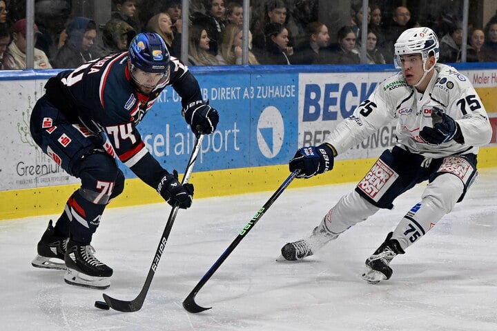 Dresdner Eislöwen Holen Tomas Sykora Von Den Kassel Huskies: Wechsel ...