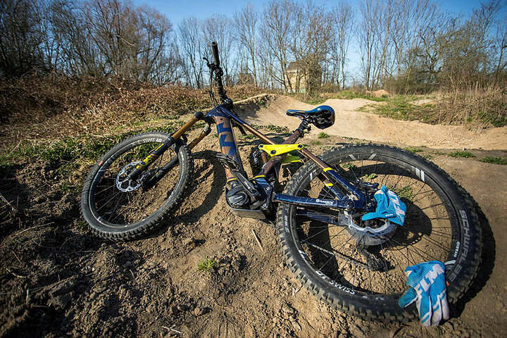 baum gefällt um fahrrad zu klauen