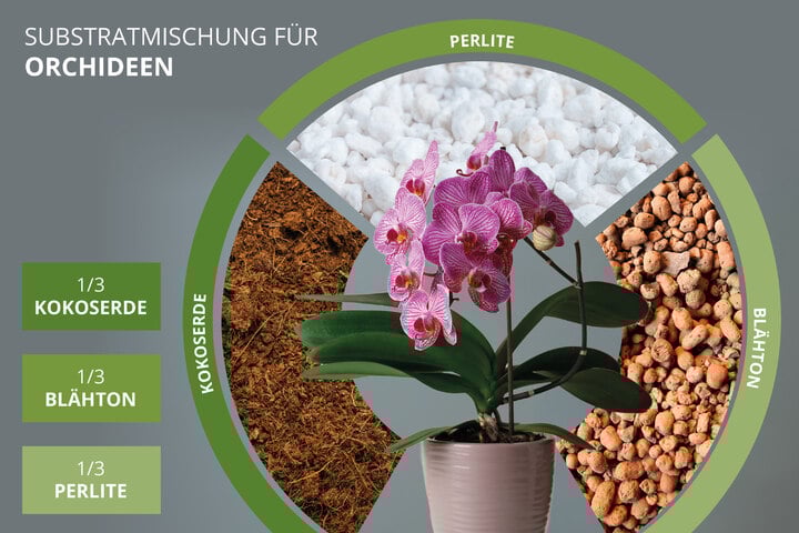 Welche Erde für Zimmerpflanzen? Die wichtigsten Tipps
