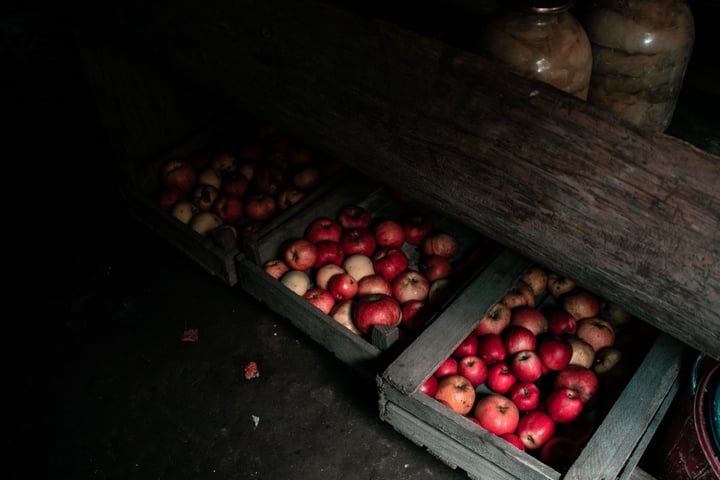 Äpfel lagern - Tipps, damit sie frisch bleiben