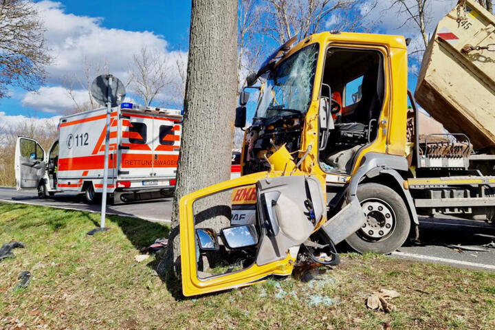 Unfall In Großbeeren: LKW Kracht Frontal In Massiven Baum, Fahrer ...