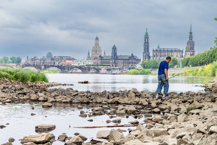 niedrigwasser-in-dresden-elbe-k-mpft-mit-sinkendem-pegelstand
