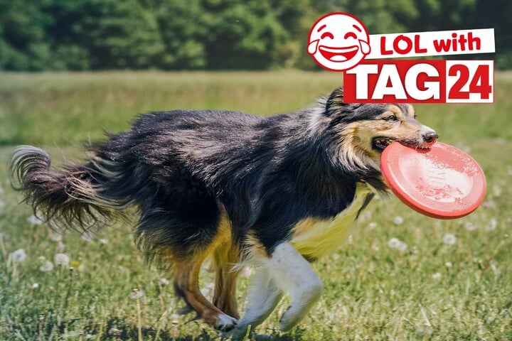 Joke Of The Day For September 26 2024 The Best Jokes To Get Your Funny On