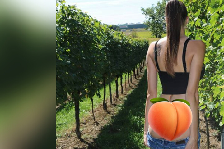 Pornostar Macht Ferien Pornostar Macht Ferien
