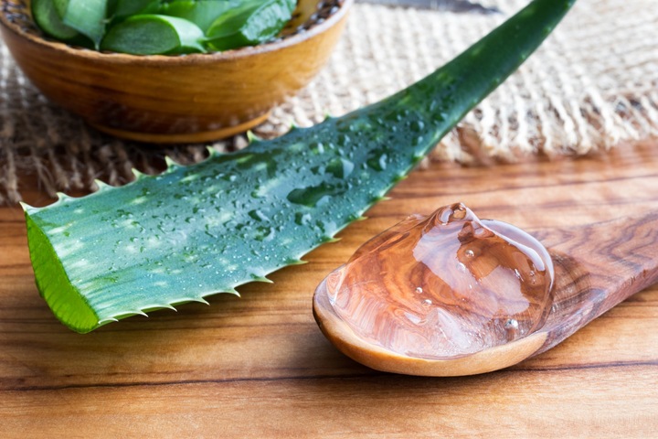 Aloe Vera Gel Selber Machen