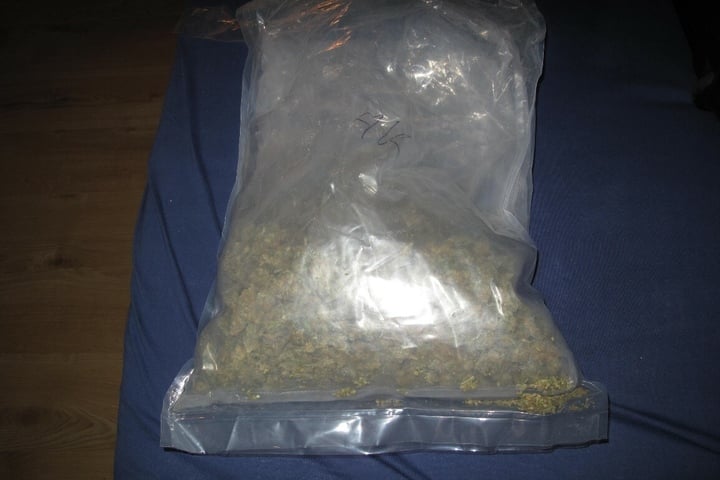 Wohnung in Chemnitz durchsucht! 500 Gramm Marihuana ...