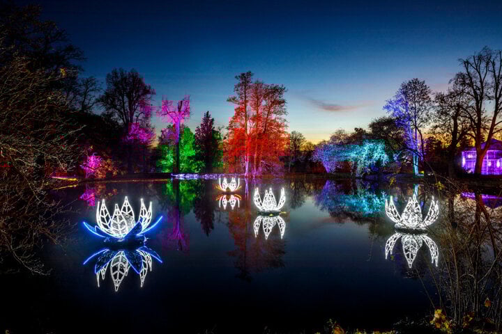 Dresden Trotz Corona "Christmas Garden" im Schlosspark Pillnitz