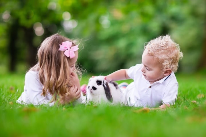 Haustiere für Kinder: 10 beliebte Tiere im Check