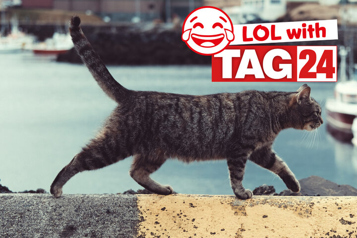 Page 2 Joke of the Day: Laugh with TAG24
