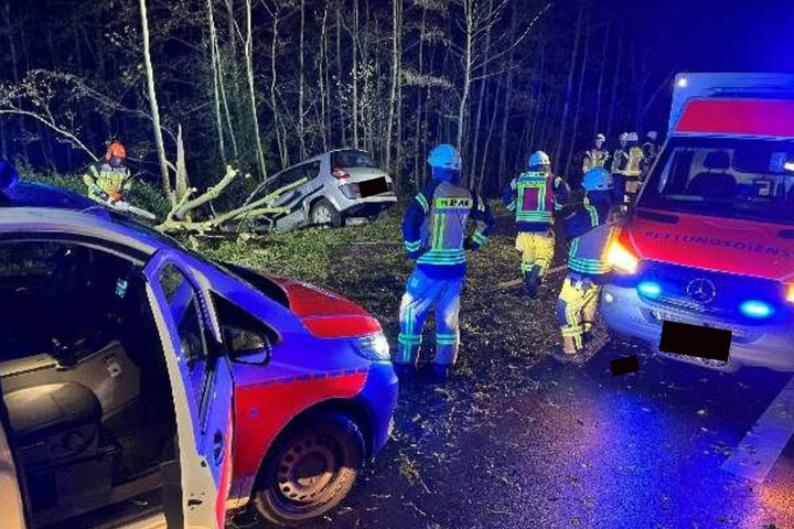 B210 In Friesland: Autofahrer Verstirbt Nach Kollision Mit Einem Baum ...