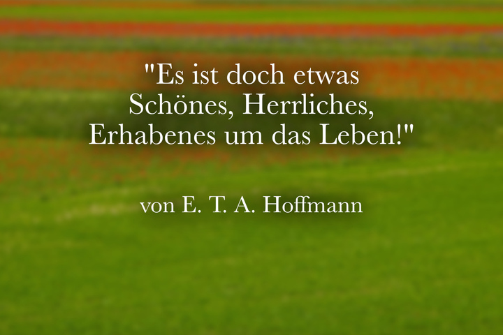 Gedichte über Das Leben Zum Nachdenken Die schönsten Sprüche über das Leben zum Nachdenken