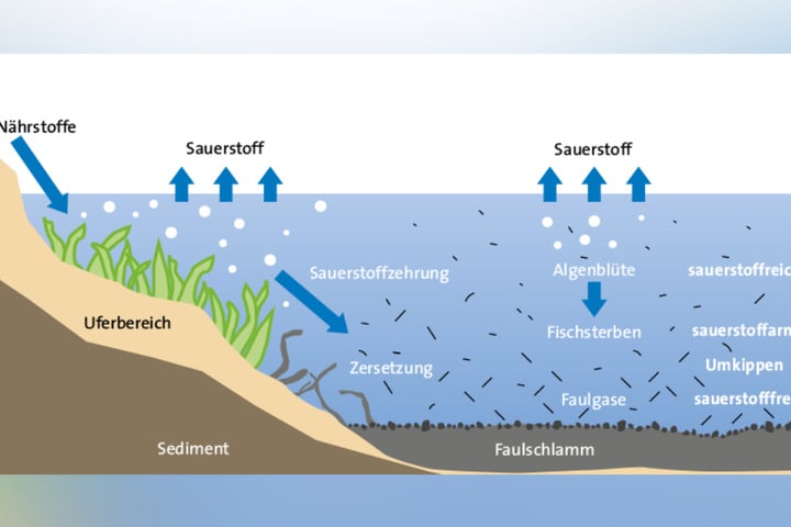 Mit diesen Tipps wird Dein Tag am See perfekt Für Dich und die Umwelt!