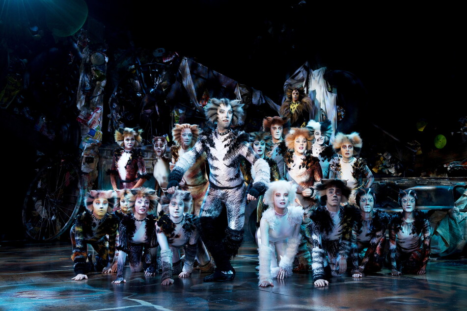 Gruppenfoto mit Grizabella (Mitte): So tummeln sich Andrew Lloyd Webbers "Cats" auf der Bühne.