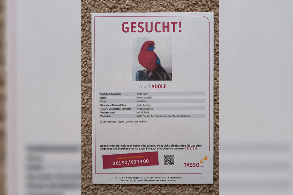 Mit diesen Plakaten wird in der Region nach dem exotischen Flattermann gefahndet.