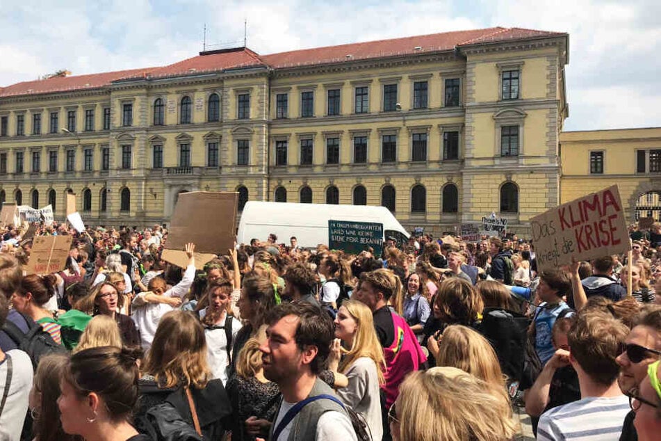 Seit Wochen protestieren Aktivisten an Freitagen für den Klimaschutz.