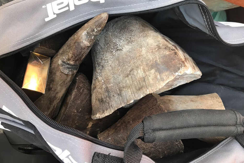 In einer Sporttasche machten die Spezialkräfte den spektakulären Fund.