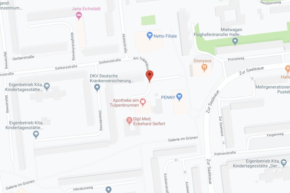 Die Attacke ereignete sich am Tulpenbrunnen in Halle-Neustadt.