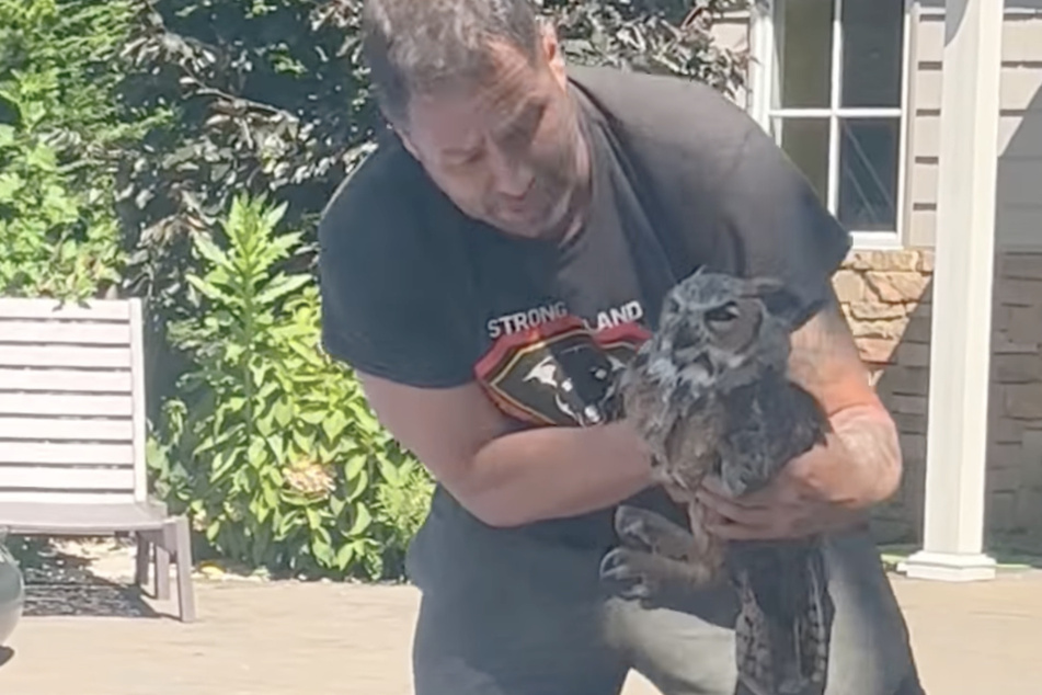 Frankie was able to save the great horned owl.