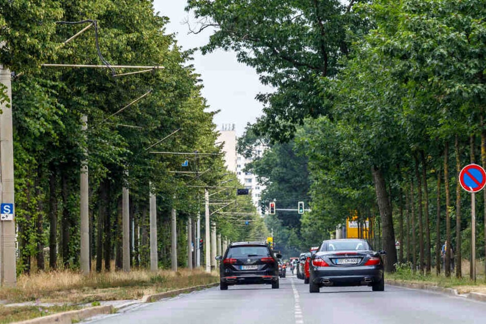 Der Auto-Verkehr auf der Stübelallee rollt. In der kommenden Woche könnte es etwas länger dauern.